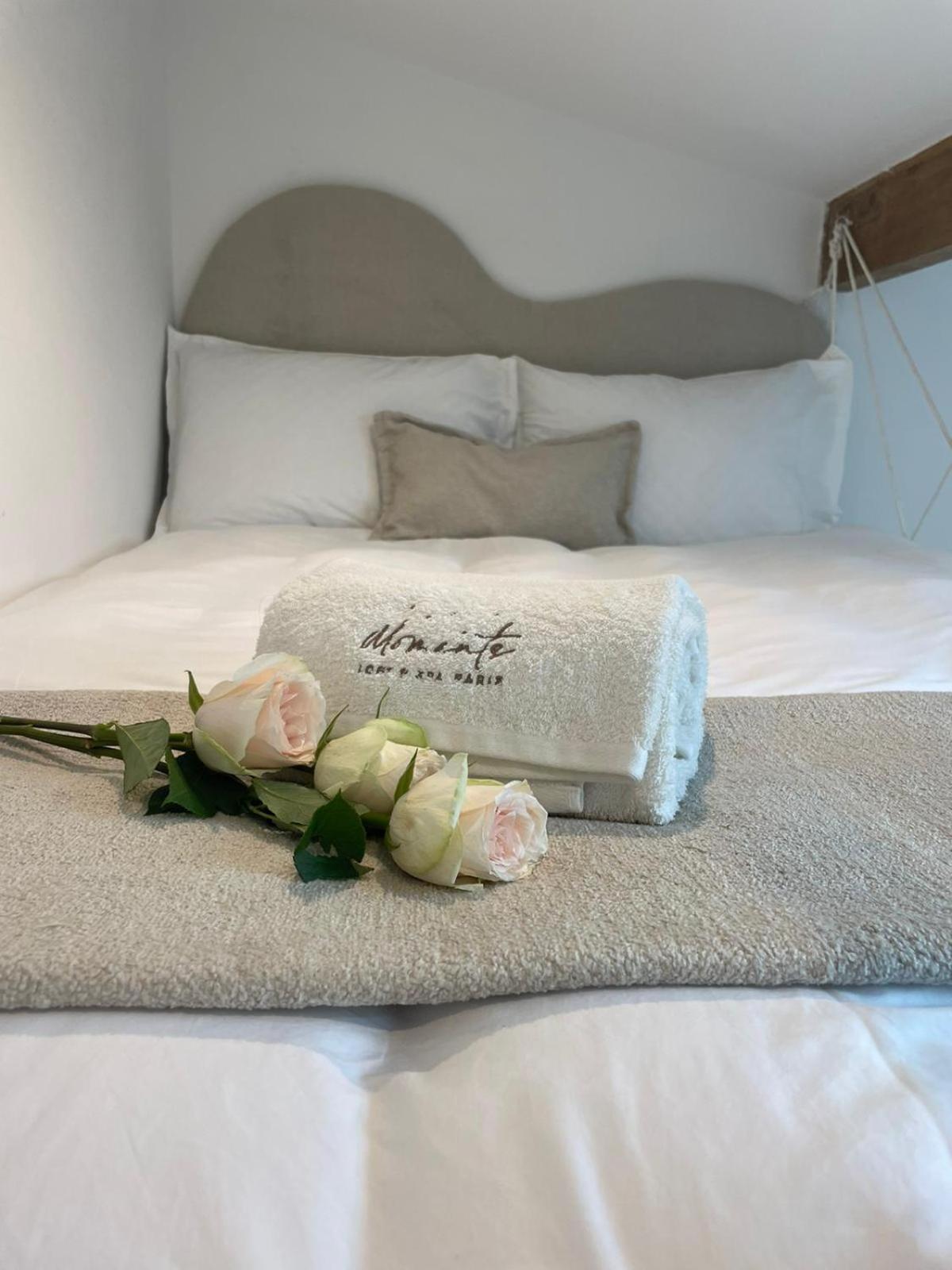 Moments Loft & Spa Paris Montesson Extérieur photo